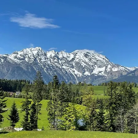 Tauglerei Malve In Den Zauberbergen